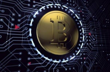 &#98;&#115;&#112;&#111;&#114;&#116;&#115;&#45;&#98;&#40;&#20013;&#22269;&#41;&#19968;&#31449;&#24335;&#20307;&#32946;&#26381;&#21153;&#23448;&#26041;&#32593;&#31449;