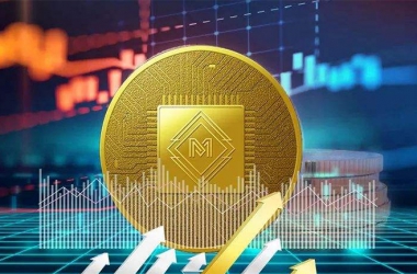 &#98;&#115;&#112;&#111;&#114;&#116;&#115;&#45;&#98;&#40;&#20013;&#22269;&#41;&#19968;&#31449;&#24335;&#20307;&#32946;&#26381;&#21153;&#23448;&#26041;&#32593;&#31449;